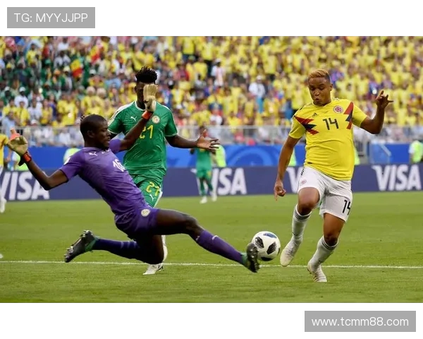 巴西与美国足球精彩对决回放全景分析与精彩瞬间回顾