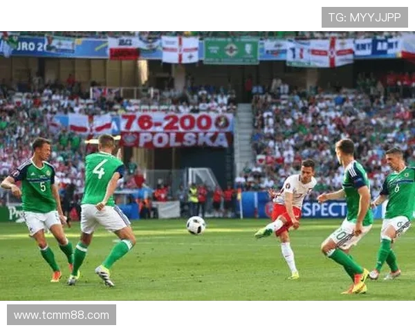 捷克与北爱尔兰足球赛前瞻分析及胜负预测详解