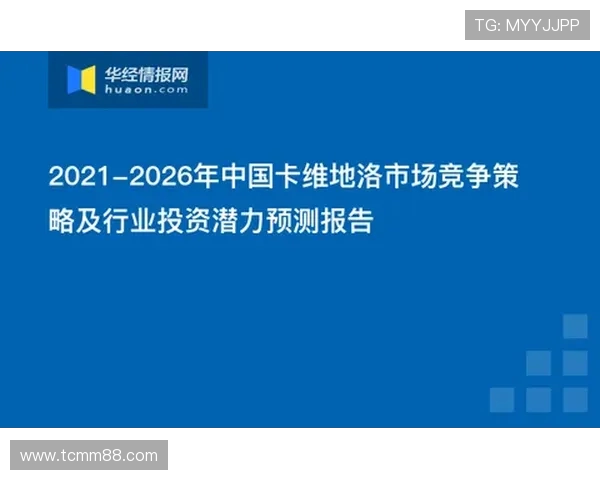 芬洛与安曼对决前瞻分析及比赛结果预测探讨