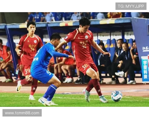 南京排球队团队协作引发热议球迷对战术配合和默契度的看法各异