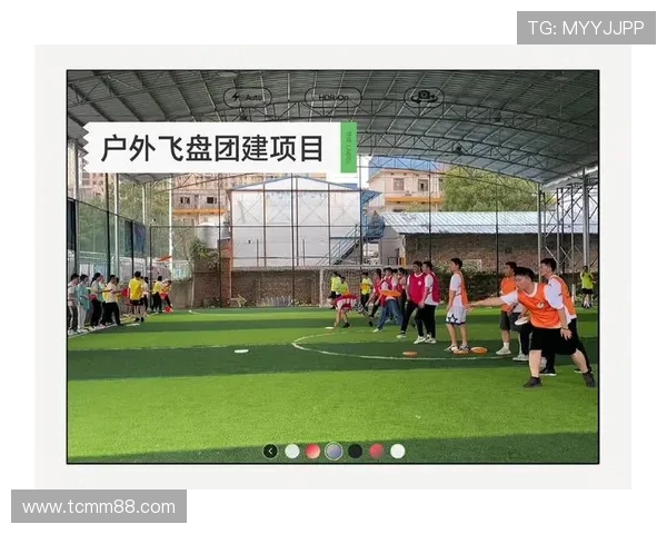 重庆飞盘队团队协作深度解析与其他队伍的比较分析 重庆飞盘队团队协作深度解析与其他队伍的比较分析