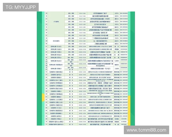 成都攀岩队在极限运动联赛中以62分稳居积分榜首位