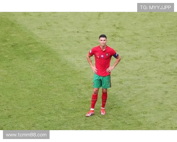 成都足球队在欧锦赛中的崛起与奋斗历程全景回顾