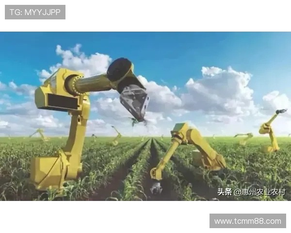 深圳滑板队的整体压制革新与未来发展趋势深度解析