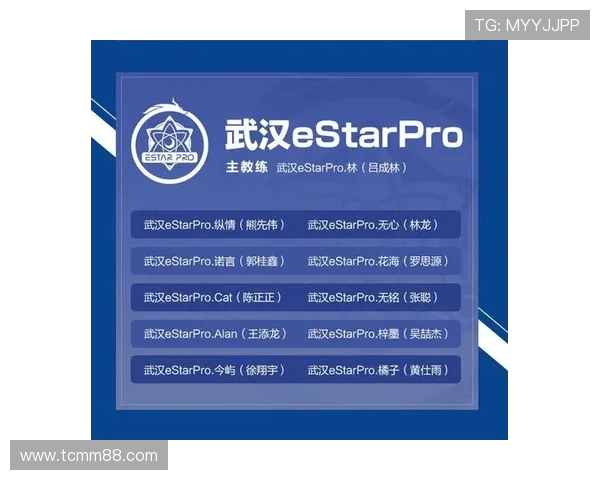王者荣耀团队协作实力榜单揭晓TES荣登第十名引发热议 王者荣耀团队协作实力榜单揭晓TES荣登第十名引发热议
